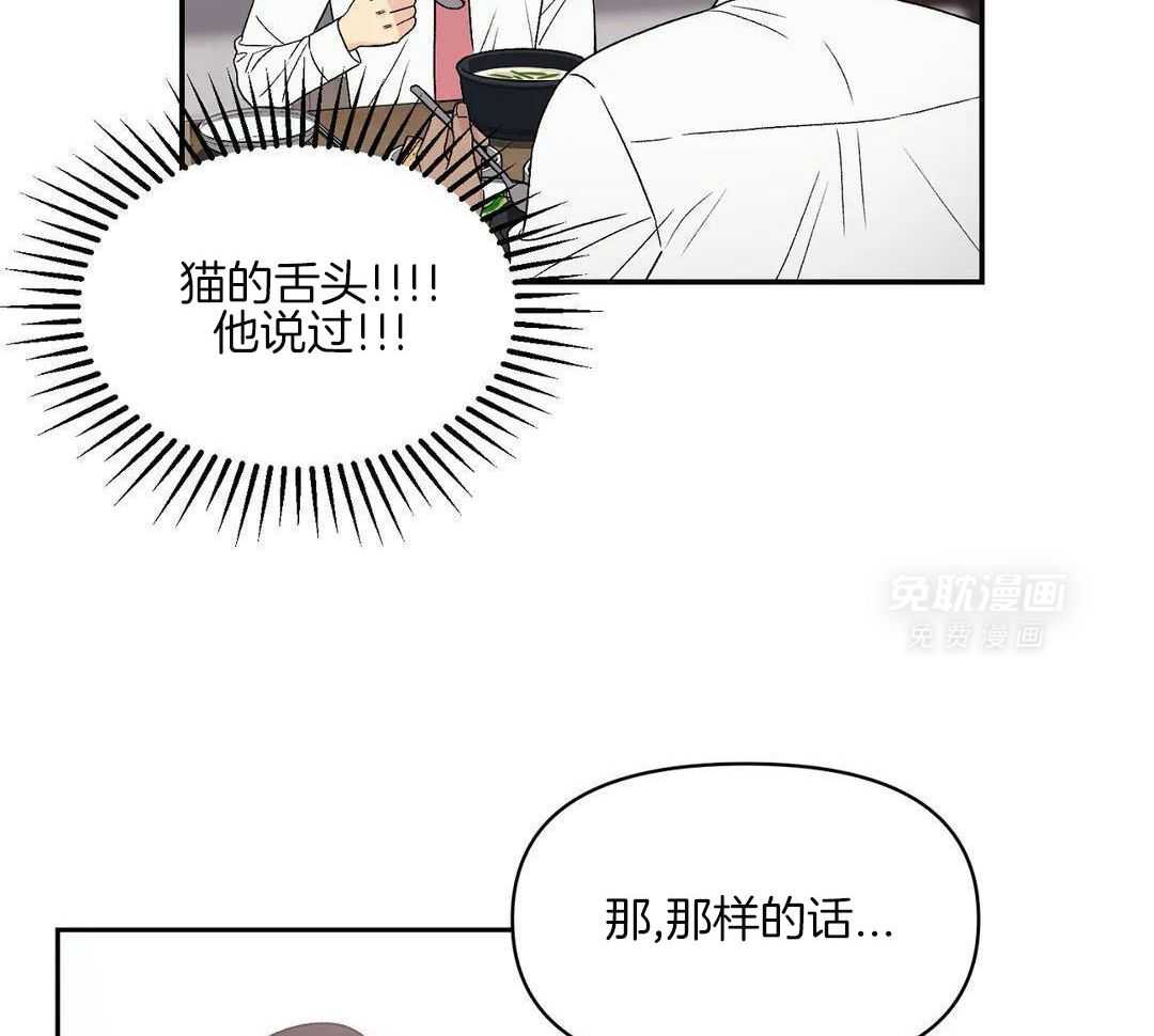 猫猫上司认定我（共2季） 第6话 第37页