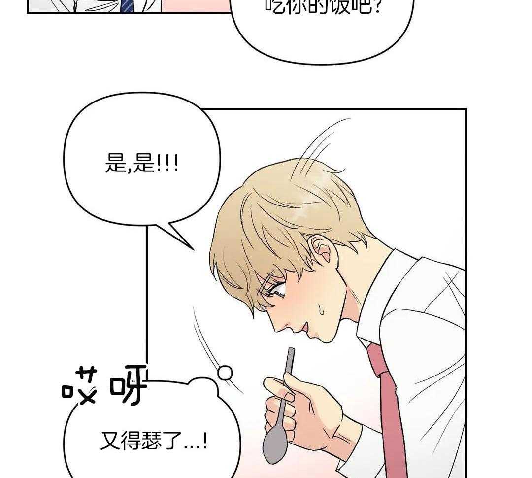 猫猫上司认定我（共2季） 第6话 第41页