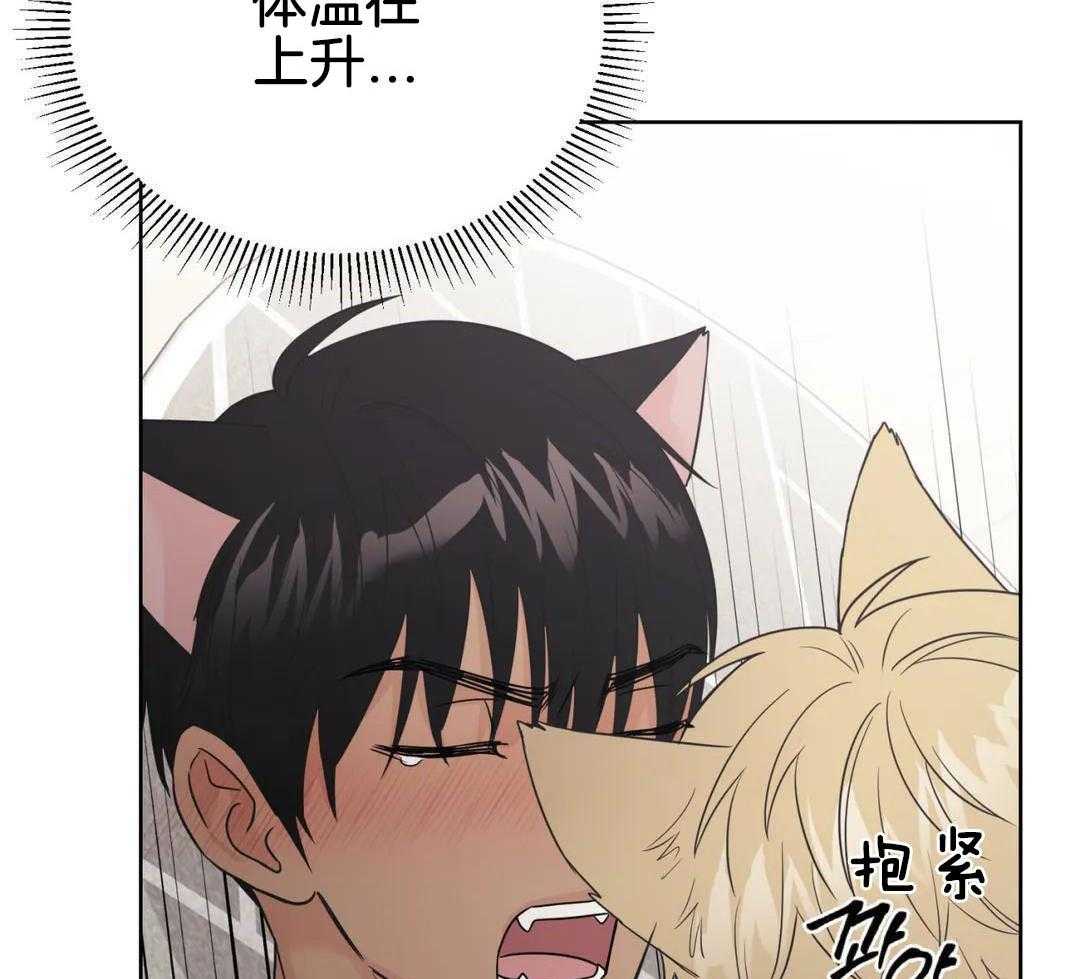 猫猫上司认定我（共2季） 第60话 第17页