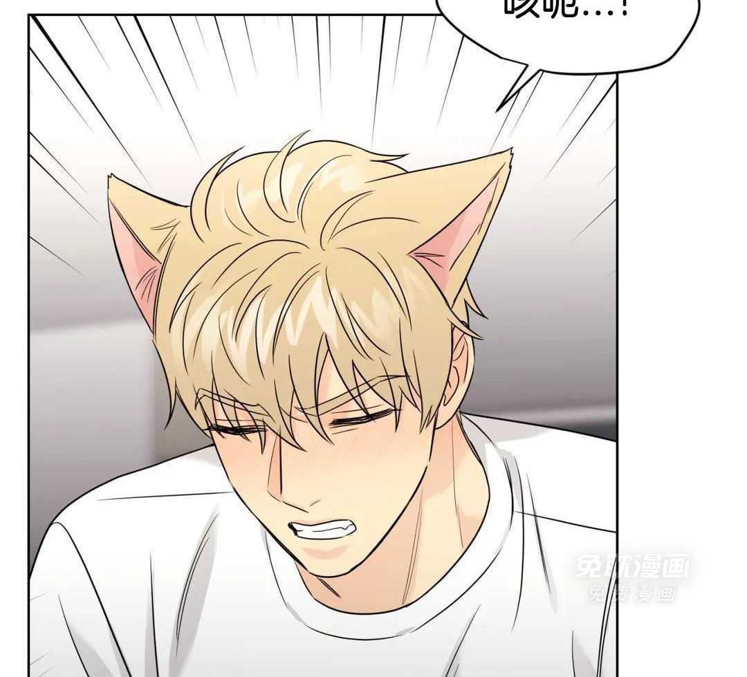 猫猫上司认定我（共2季） 第60话 第19页