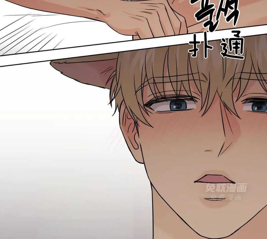 猫猫上司认定我（共2季） 第60话 第26页