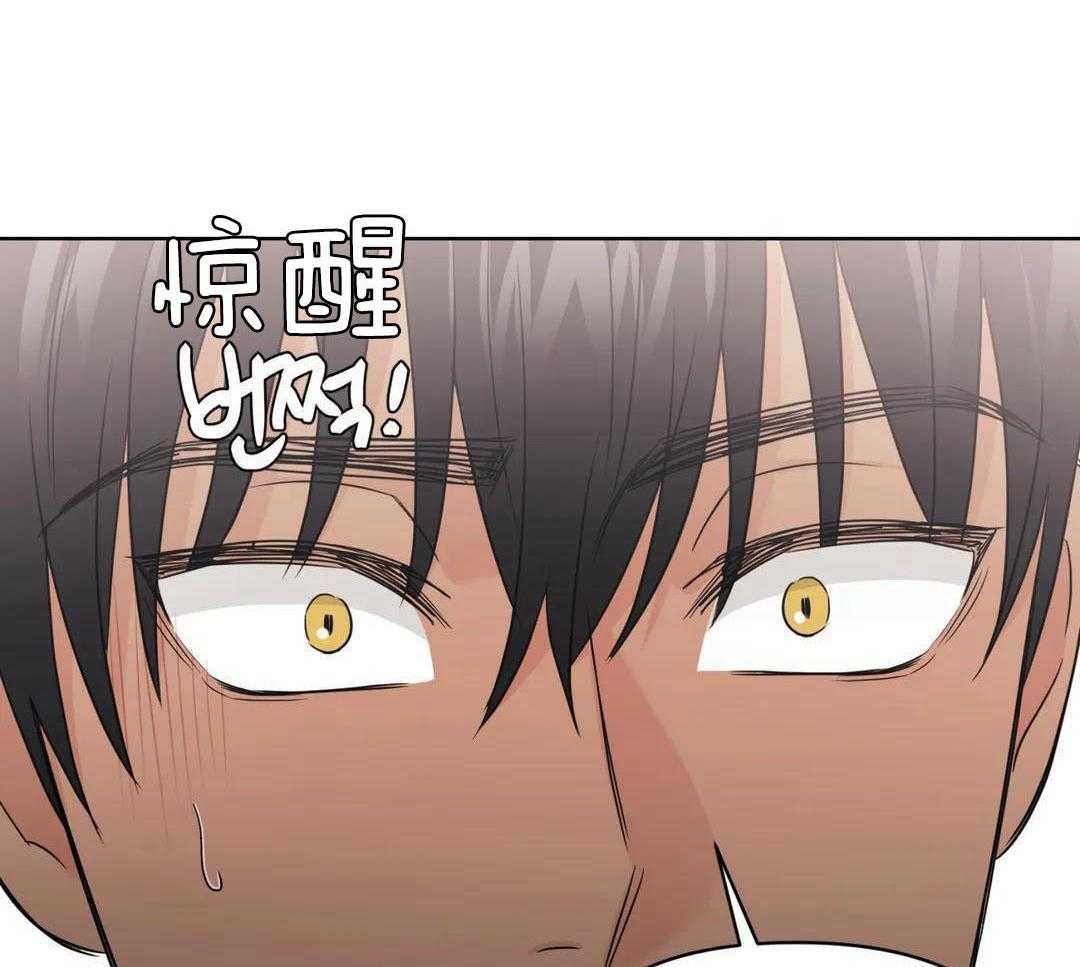 猫猫上司认定我（共2季） 第60话 第39页