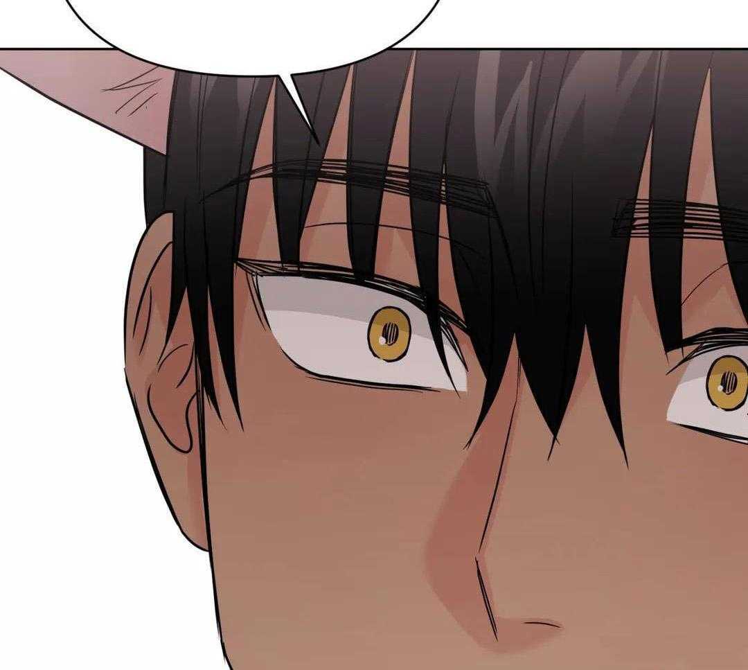 猫猫上司认定我（共2季） 第60话 第49页