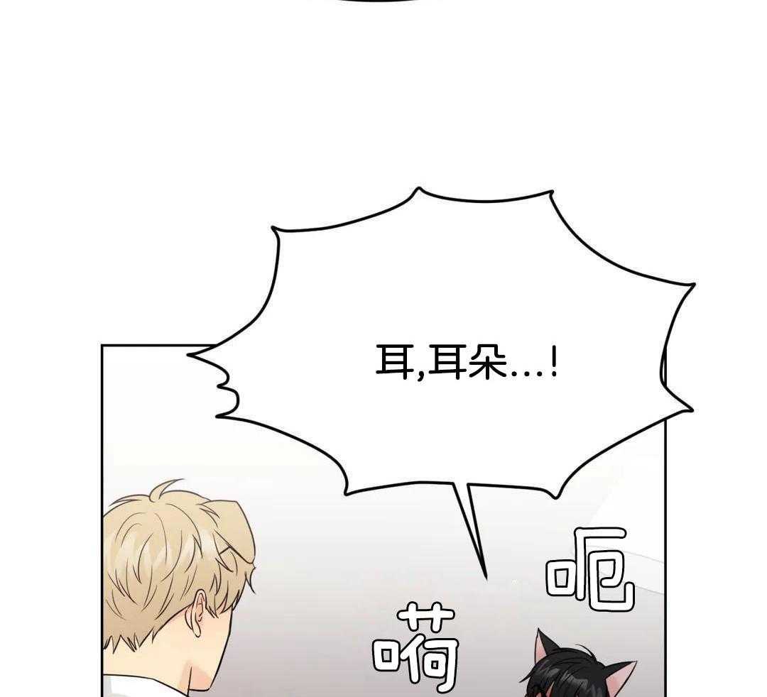猫猫上司认定我（共2季）第61话图