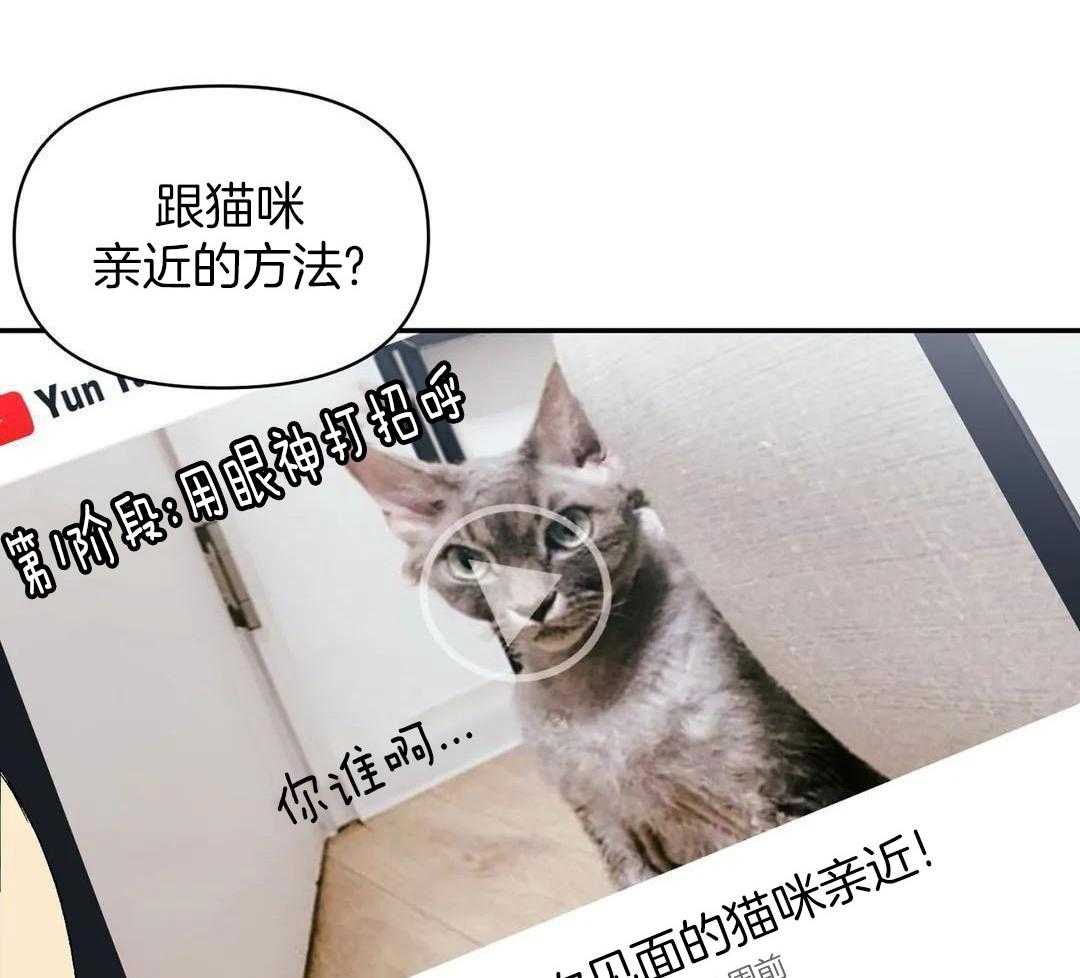 猫猫上司认定我（共2季） 第7话 第10页