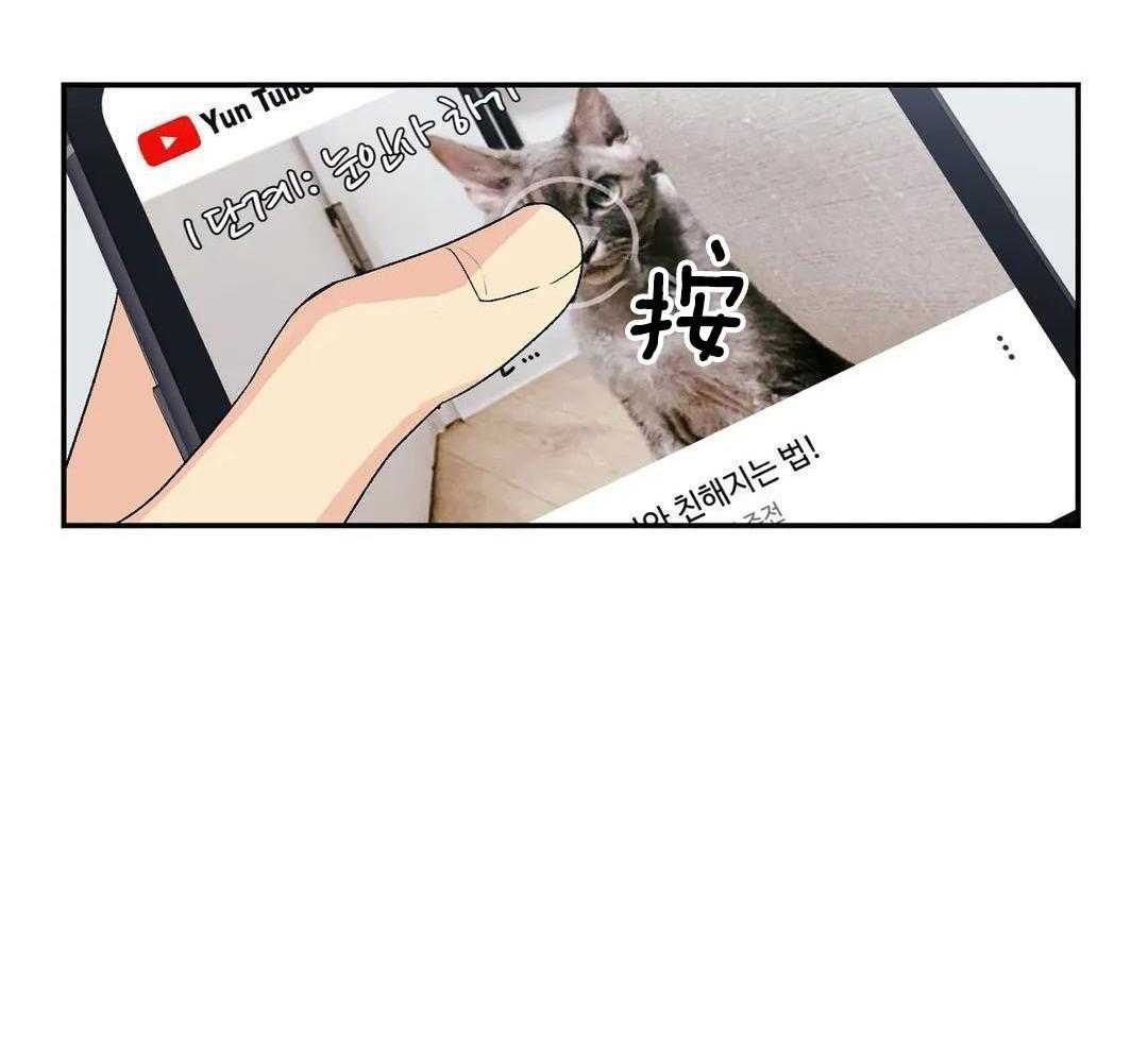 猫猫上司认定我（共2季） 第7话 第13页