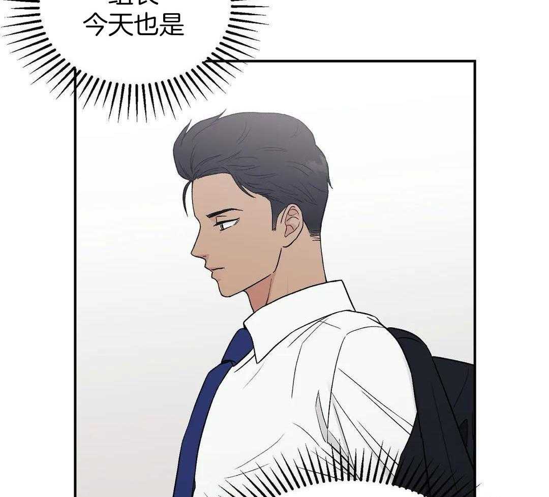 猫猫上司认定我（共2季） 第7话 第17页