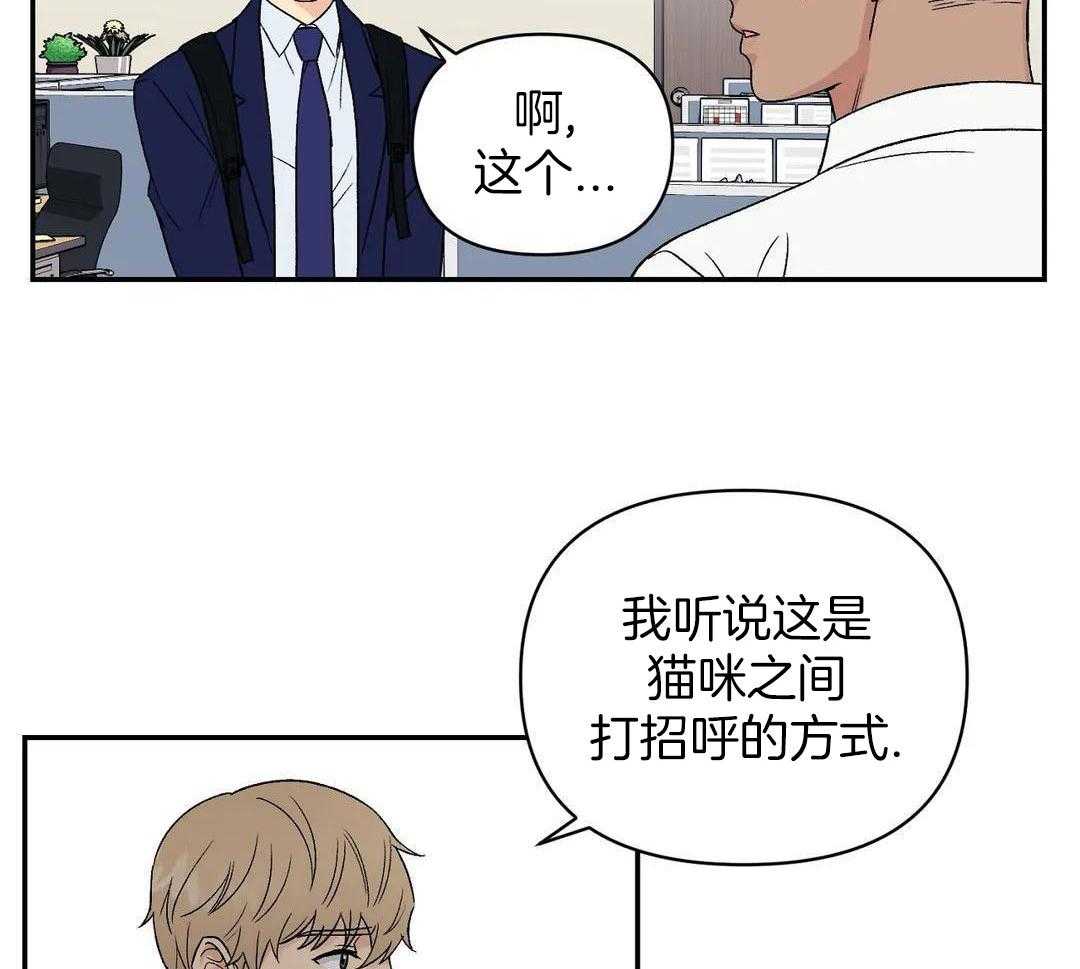 猫猫上司认定我（共2季） 第7话 第31页