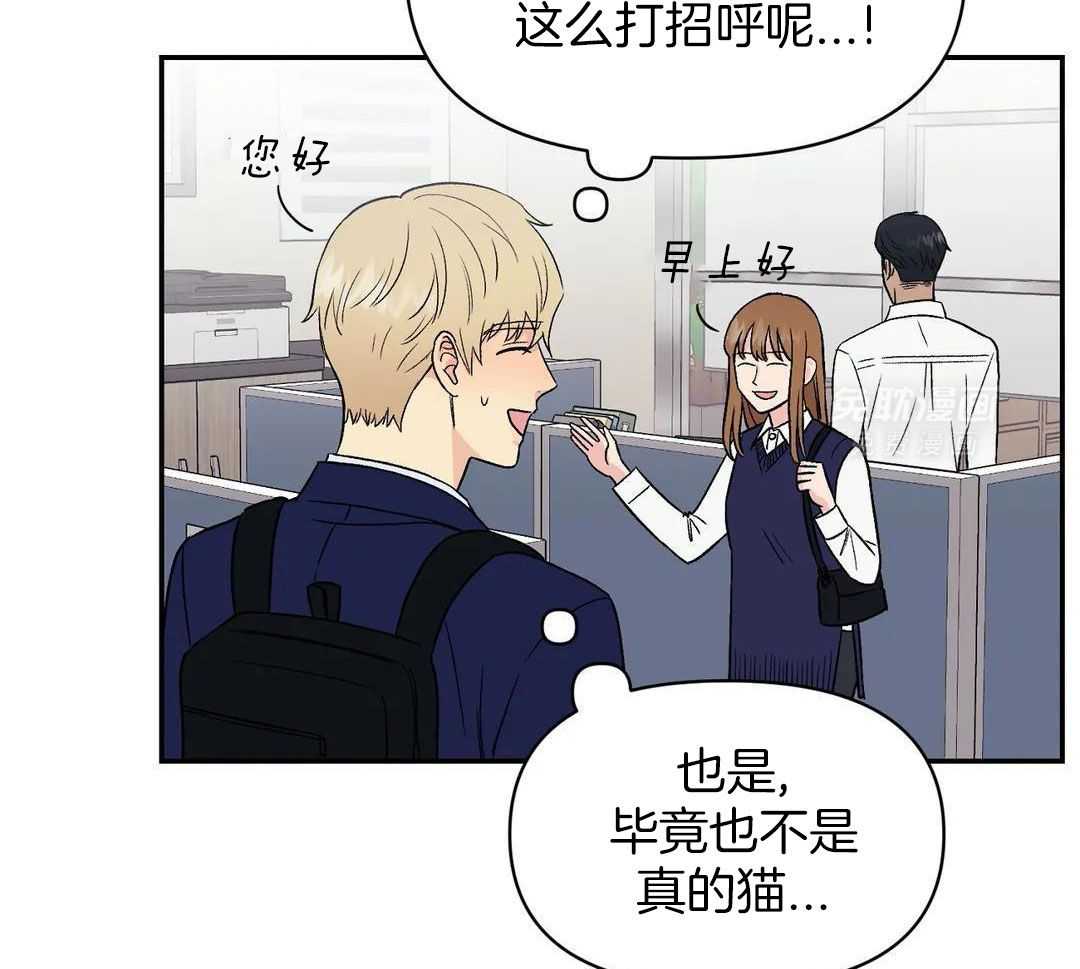 猫猫上司认定我（共2季） 第7话 第40页
