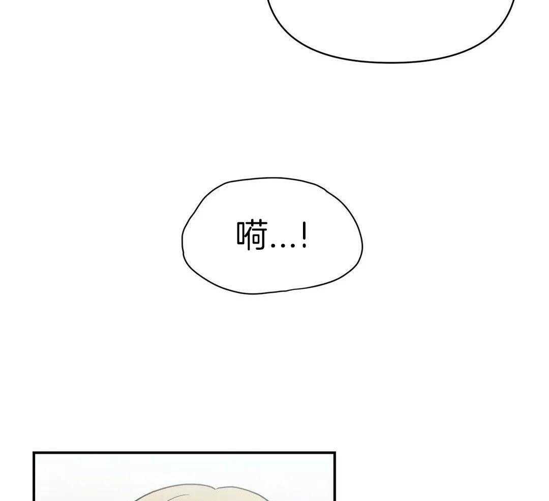 猫猫上司认定我（共2季） 第8话 第16页