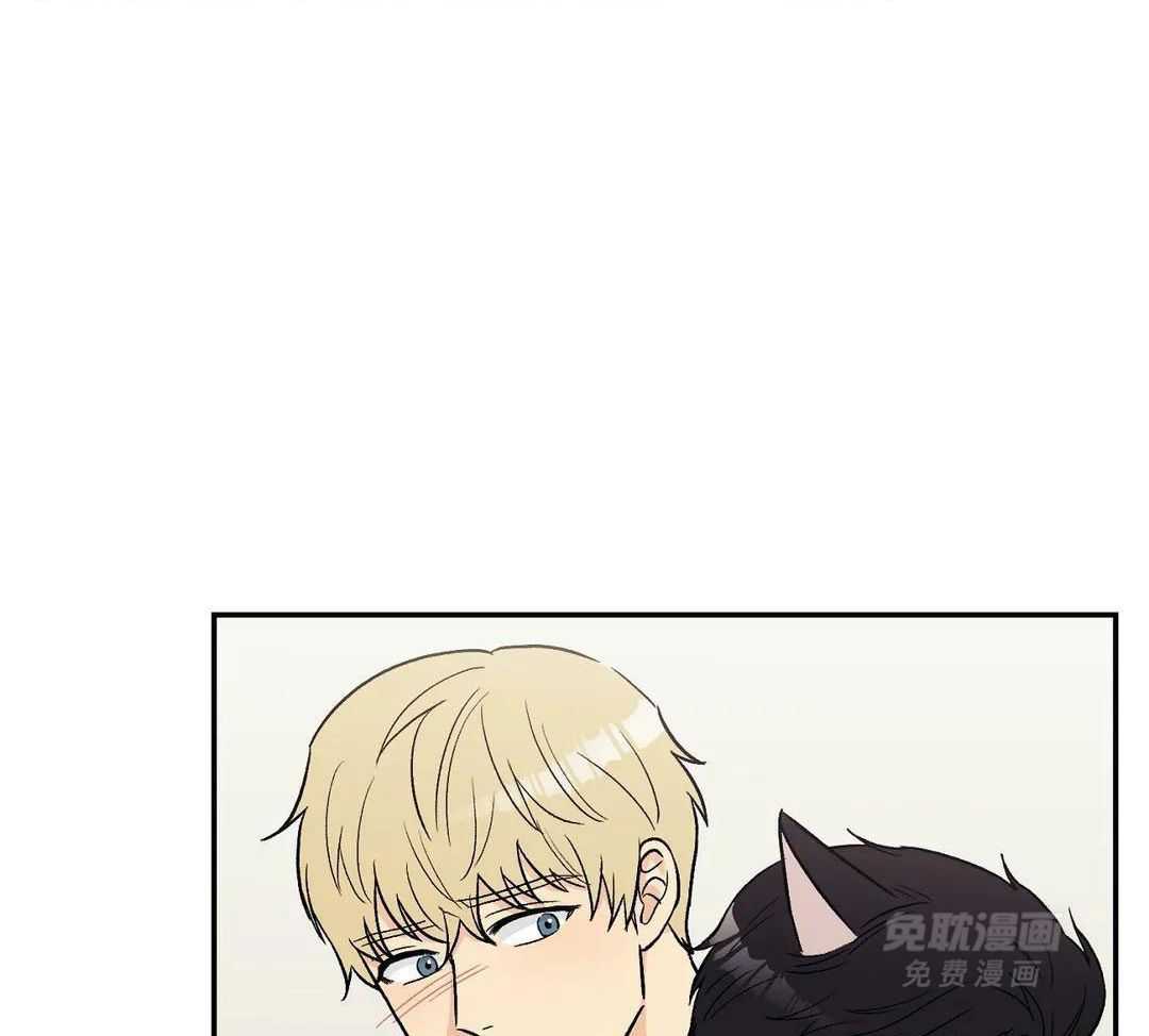 猫猫上司认定我（共2季） 第9话 第29页