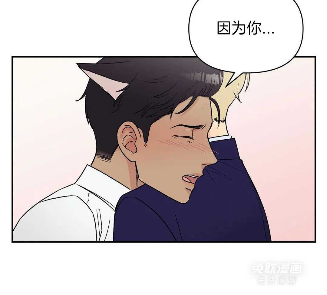 猫猫上司认定我（共2季） 第9话 第33页