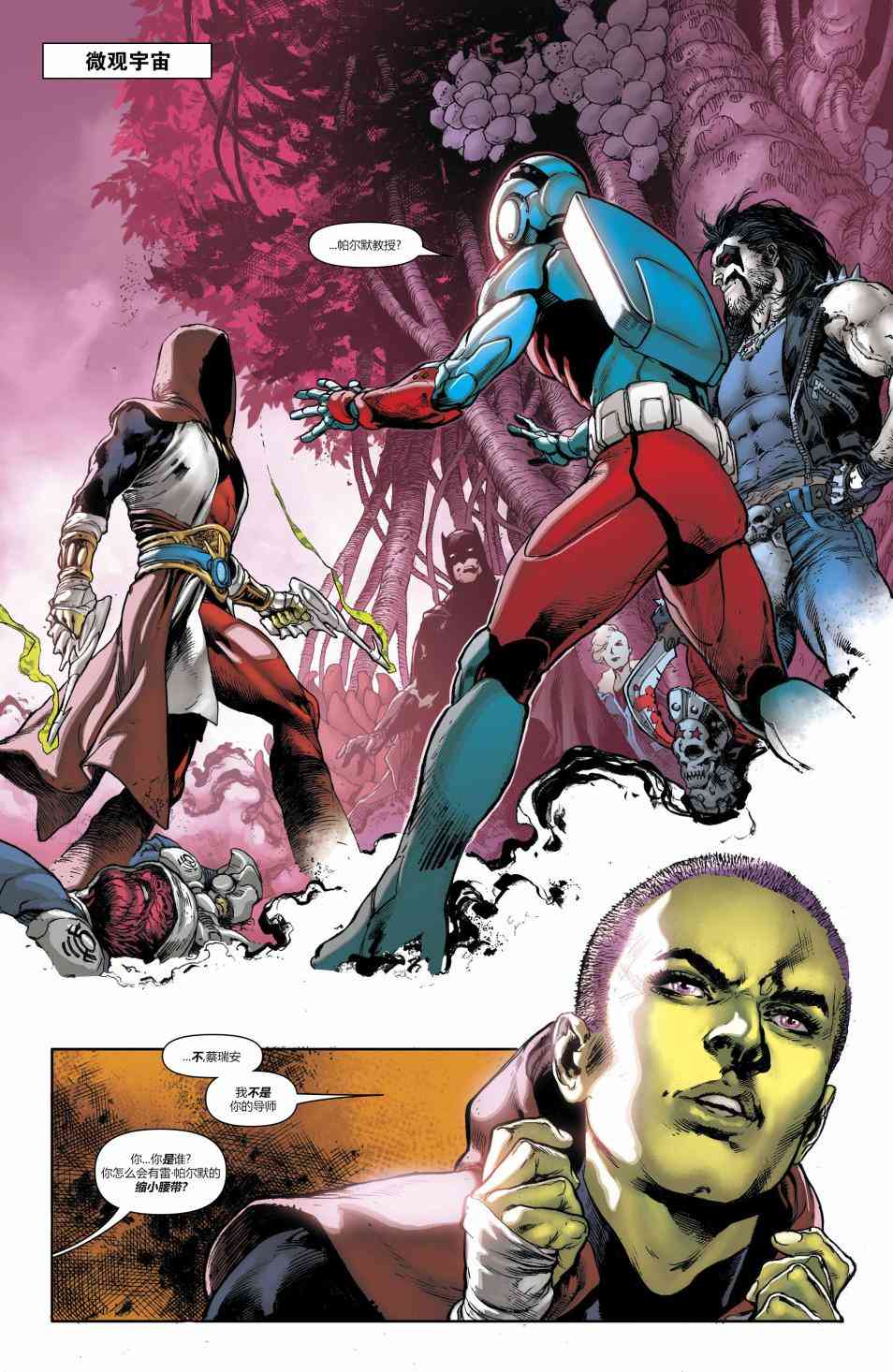 美国正义联盟V5 13卷 第2页