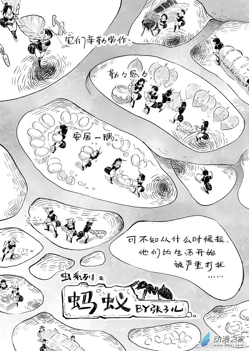 蚂蚁试读图
