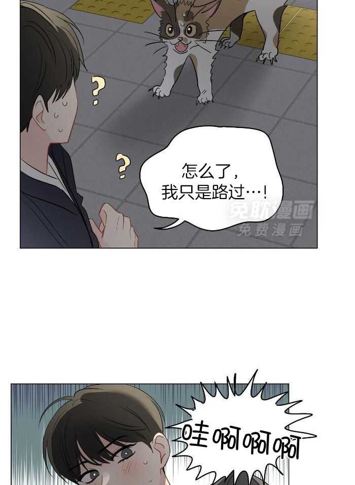 梦境很奇怪！ 第114话 第3页