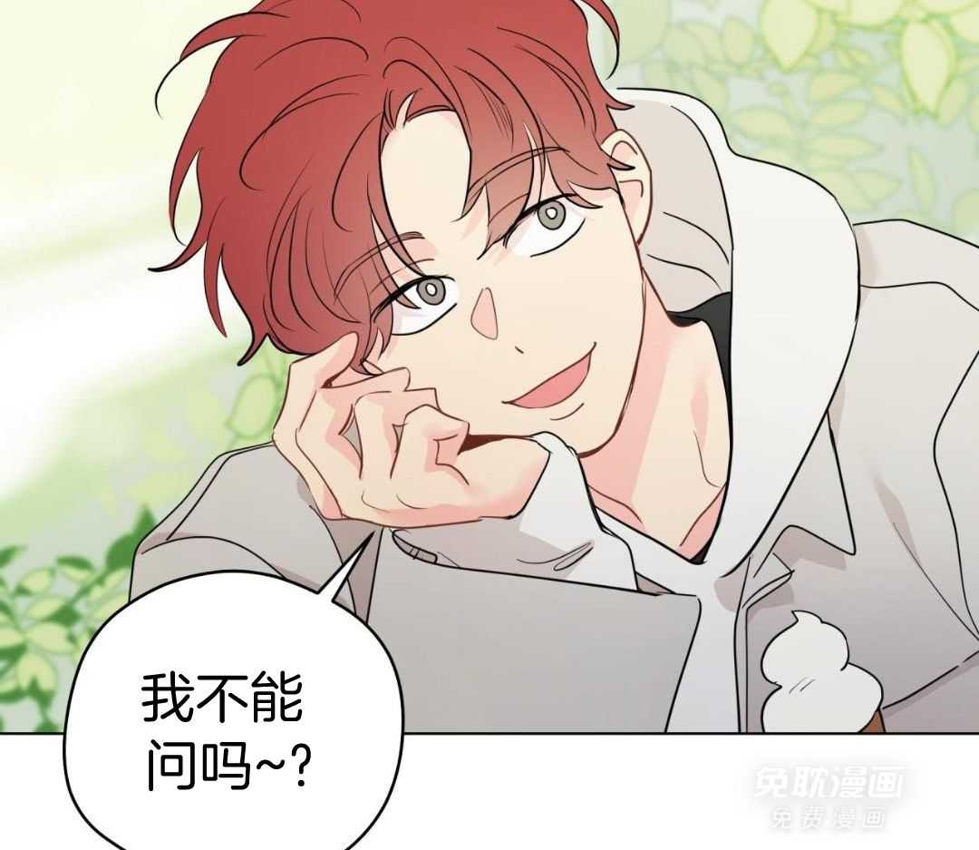 梦境很奇怪！ 第149话 第41页