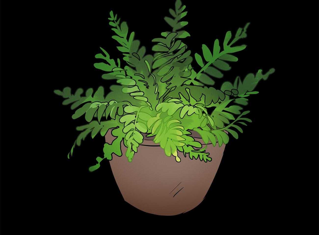 梦境很奇怪！ 第55话 第28页