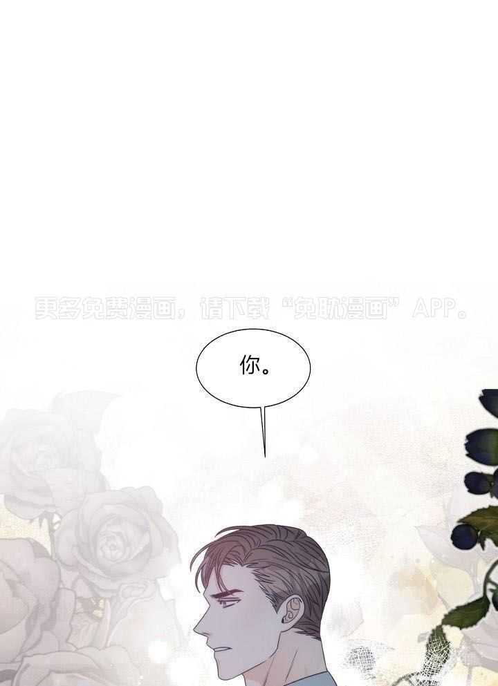 曼哈顿浪漫第11话图