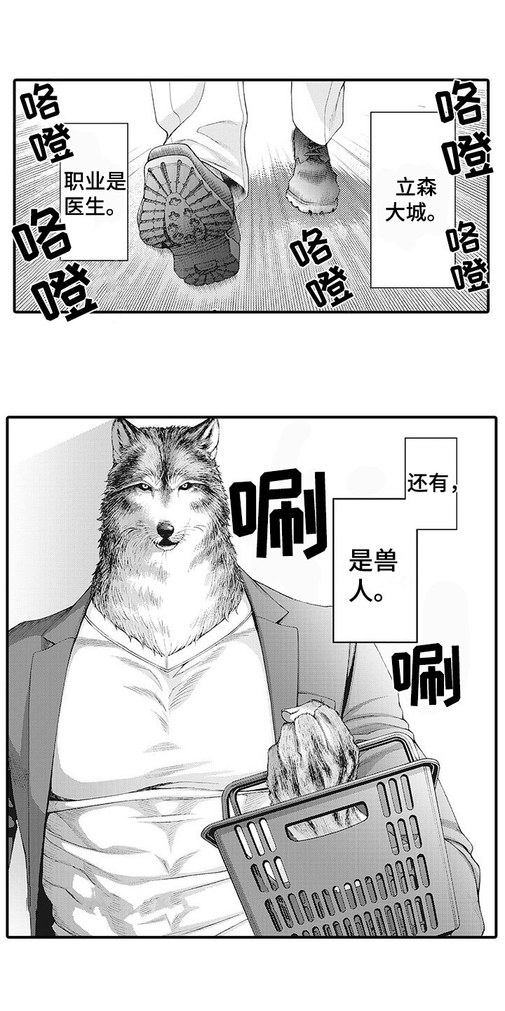 毛绒绒男友第1话图