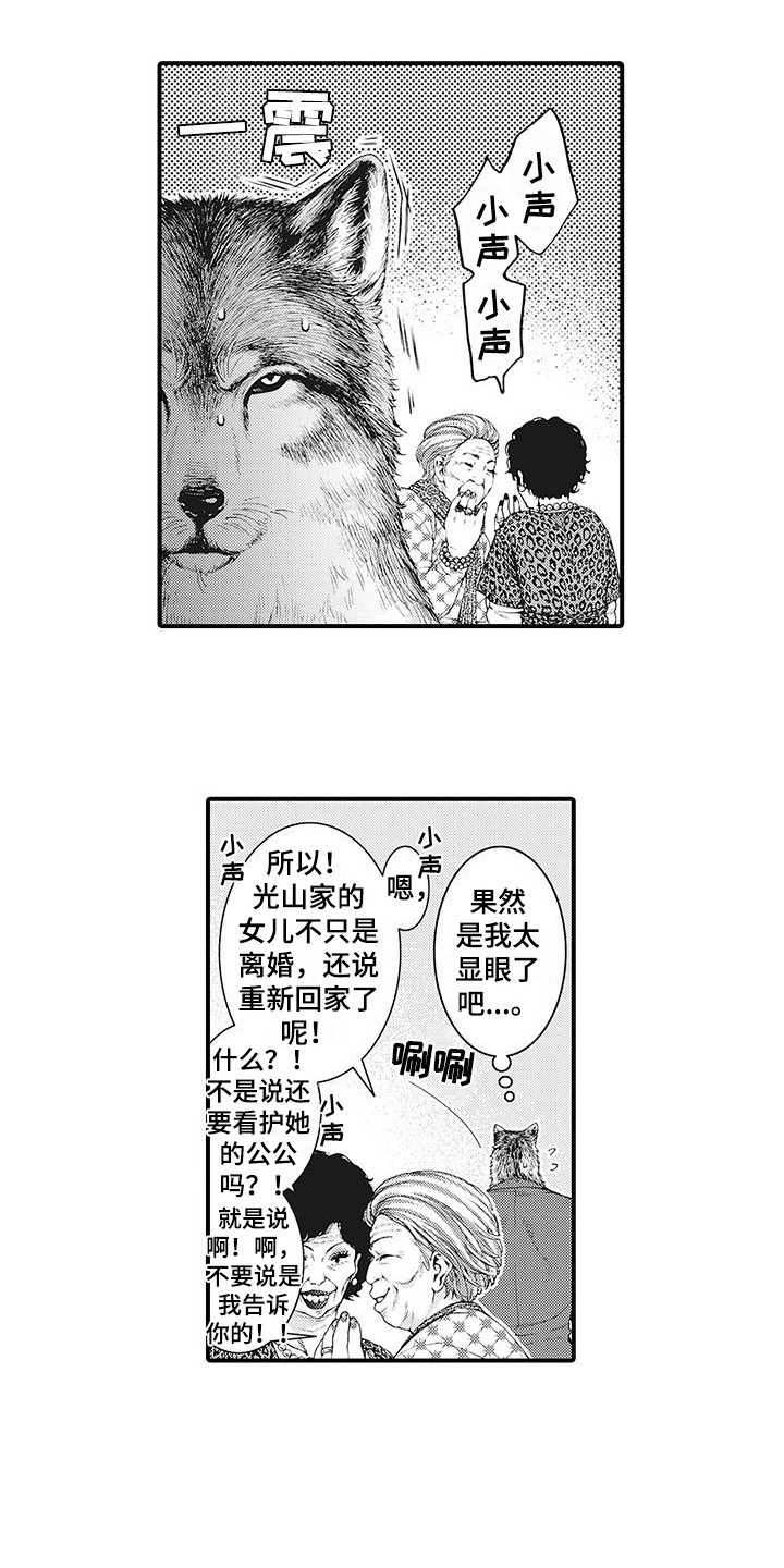 毛绒绒男友第1话图