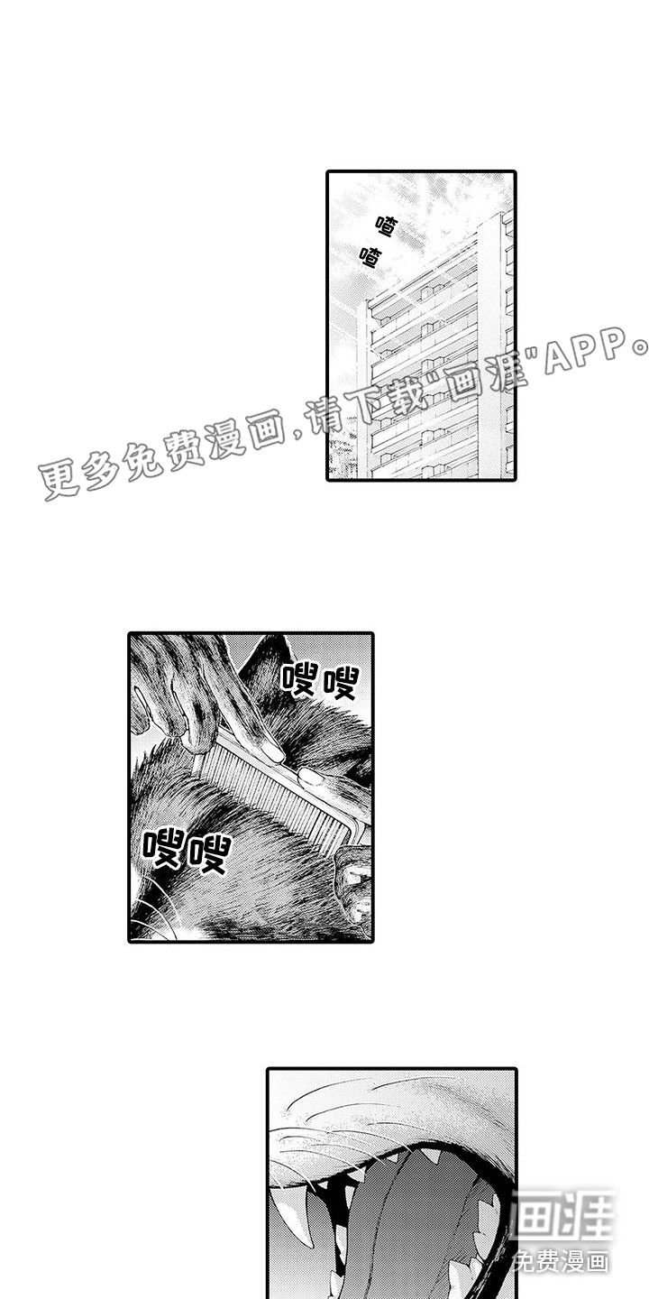 毛绒绒男友第12话图