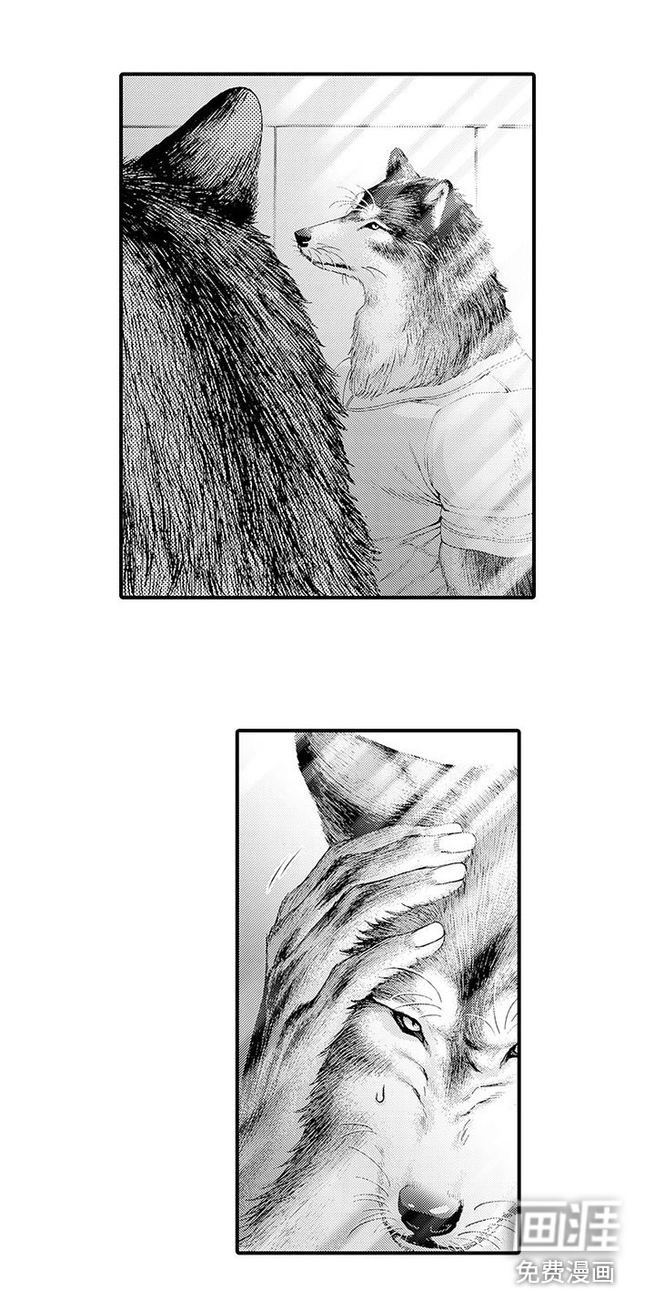 毛绒绒男友第7话图