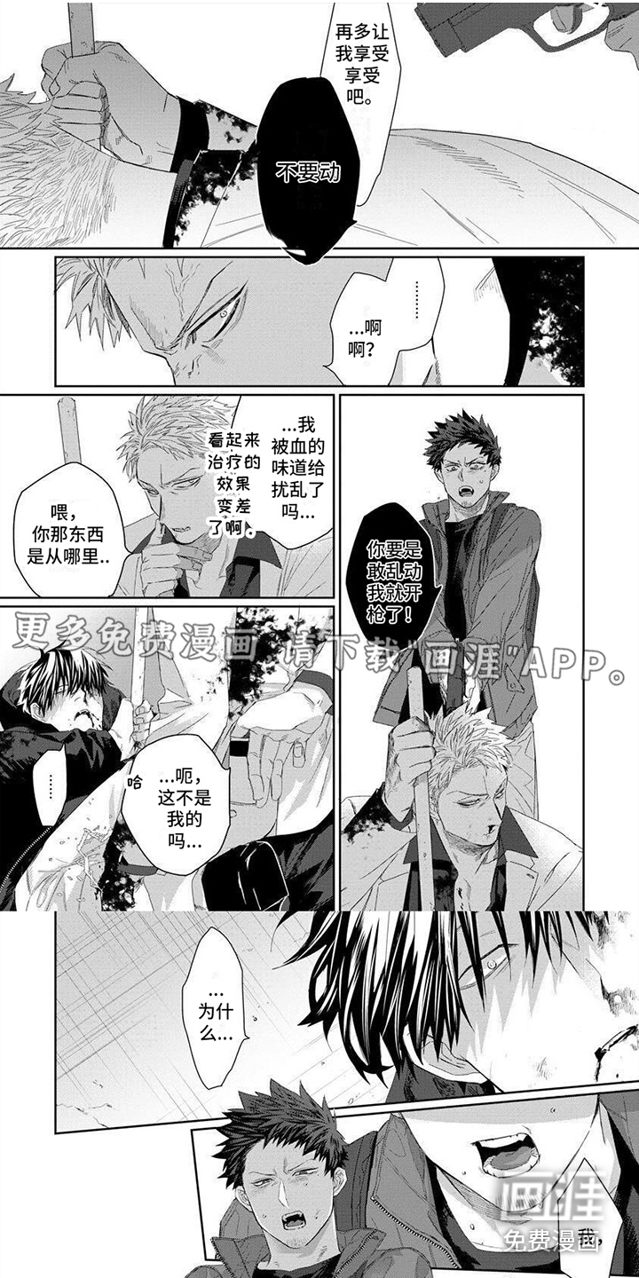 魔女的猫第10话图