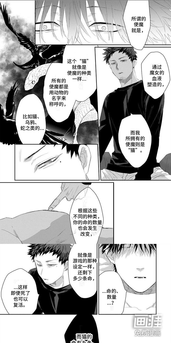 魔女的猫第5话图