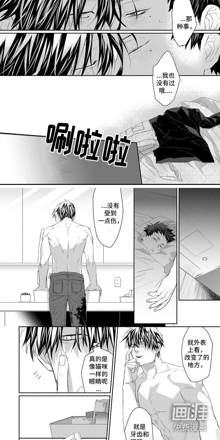 魔女的猫第6话图