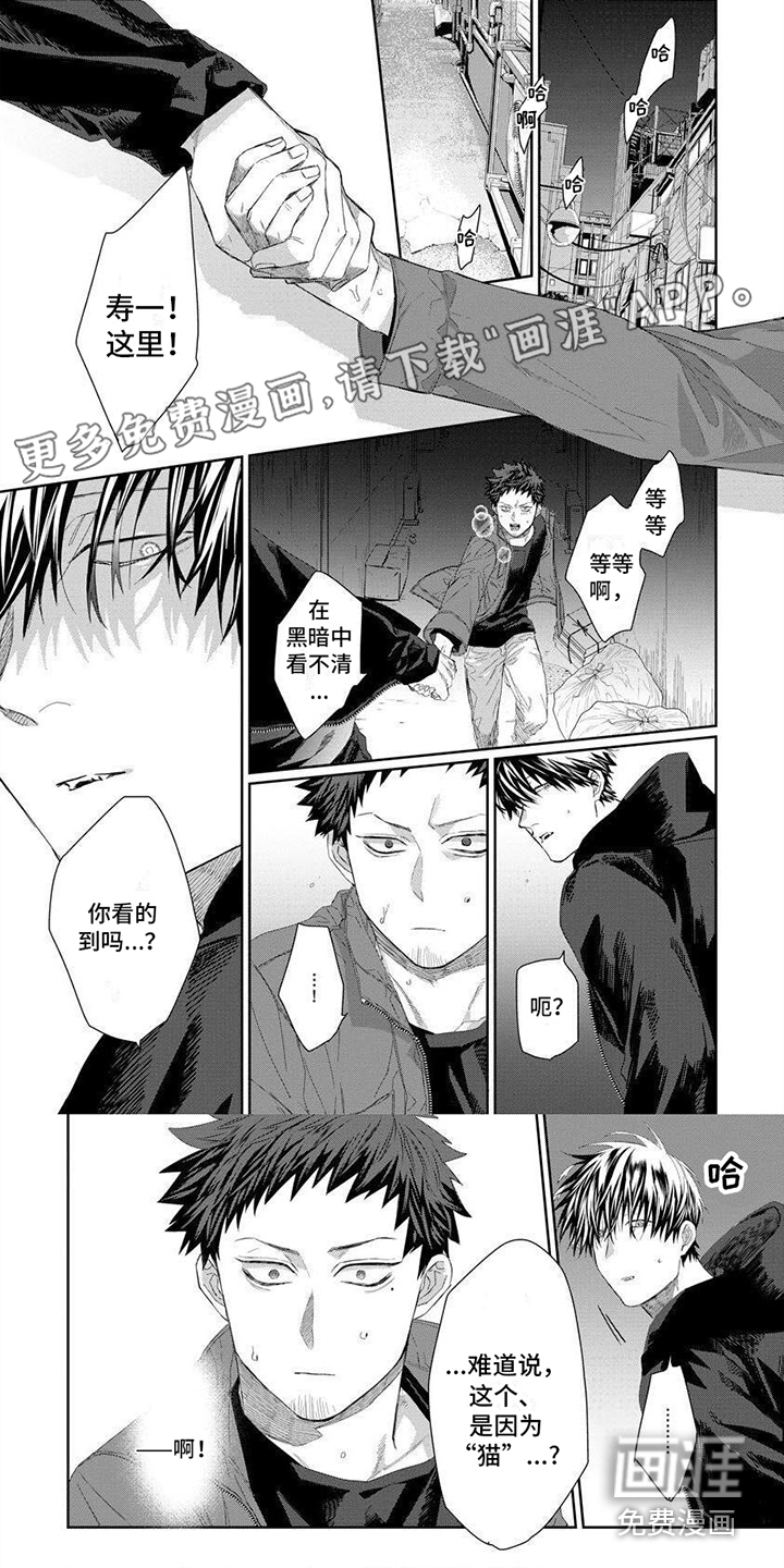 魔女的猫第8话图