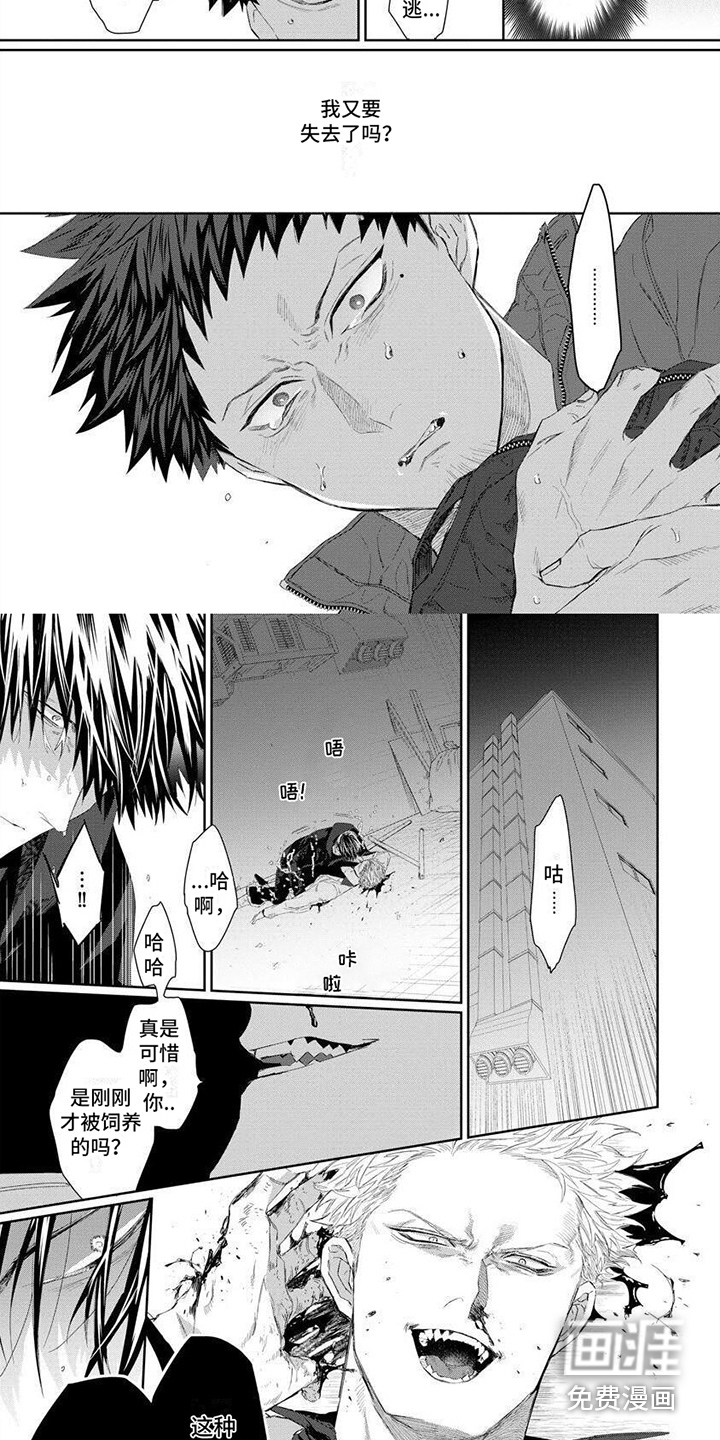 魔女的猫第9话图