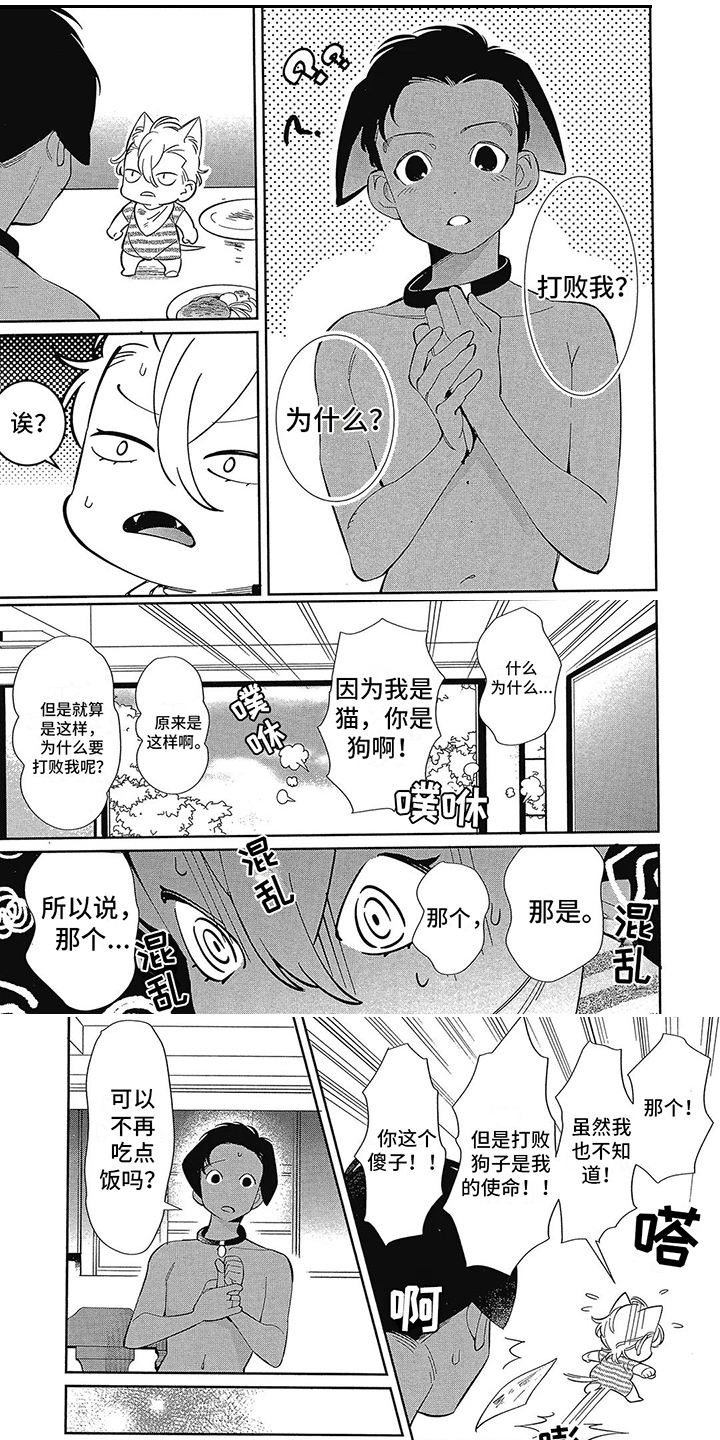 猫狗一家亲第3话图