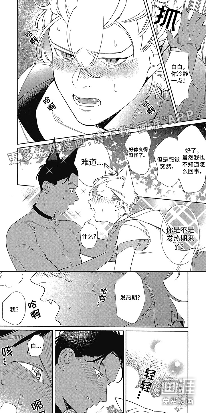 猫狗一家亲第4话图