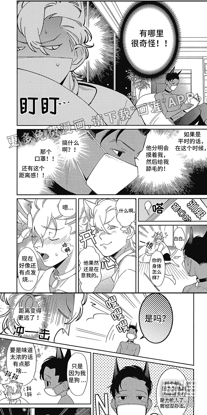 猫狗一家亲第5话图