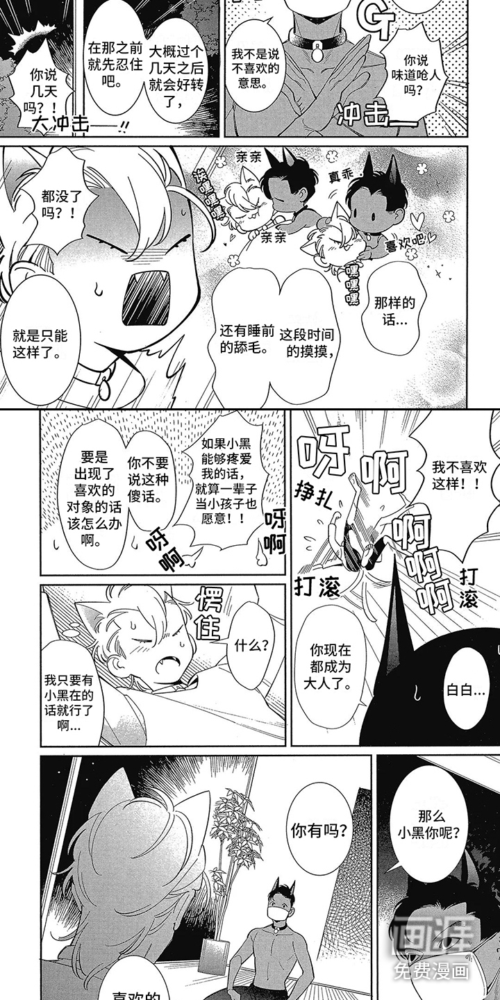 猫狗一家亲第5话图