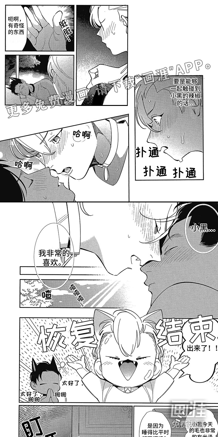 猫狗一家亲第6话图