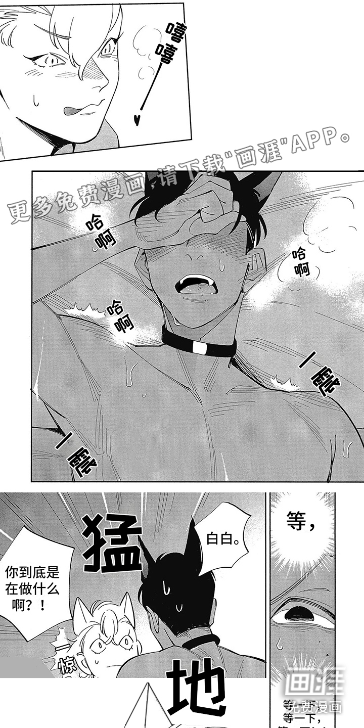 猫狗一家亲第8话图