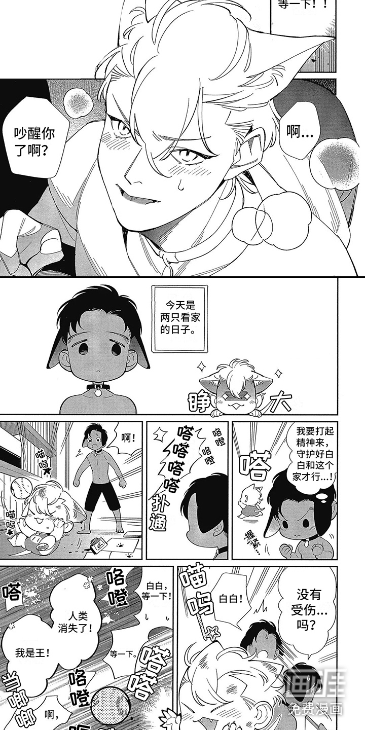 猫狗一家亲第8话图