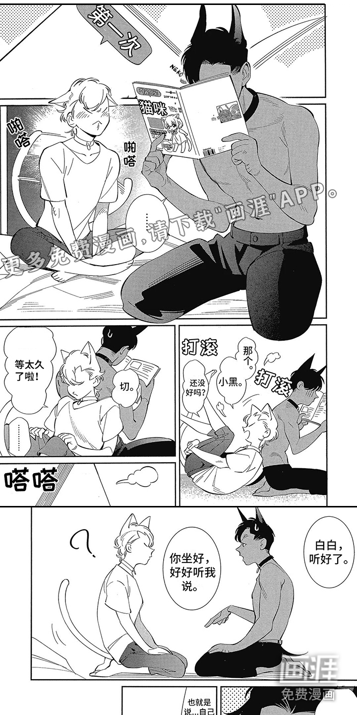 猫狗一家亲第9话图