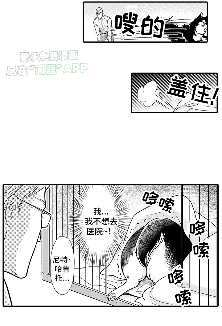 毛茸茸的偏爱第1话图