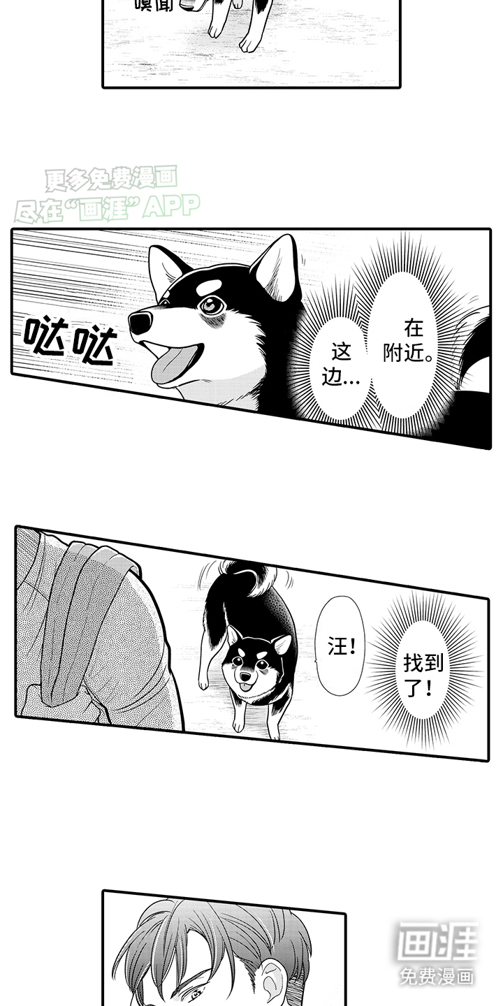 毛茸茸的偏爱第14话图