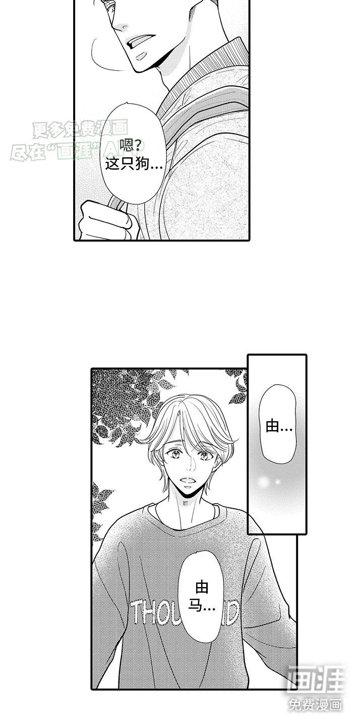 毛茸茸的偏爱第14话图