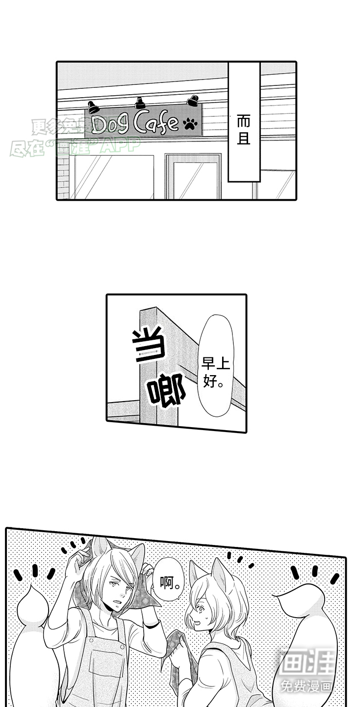 毛茸茸的偏爱第15话图