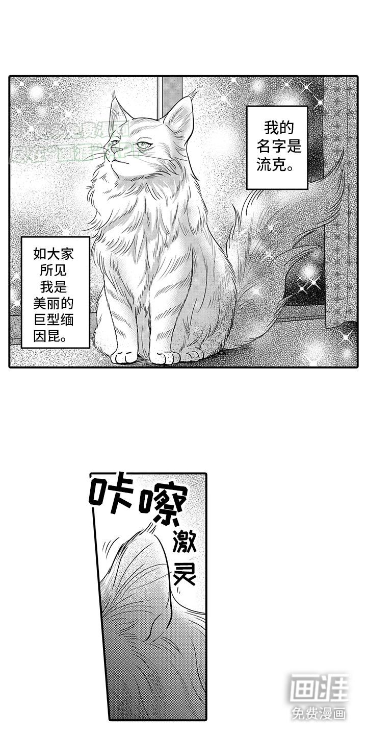 毛茸茸的偏爱第16话图