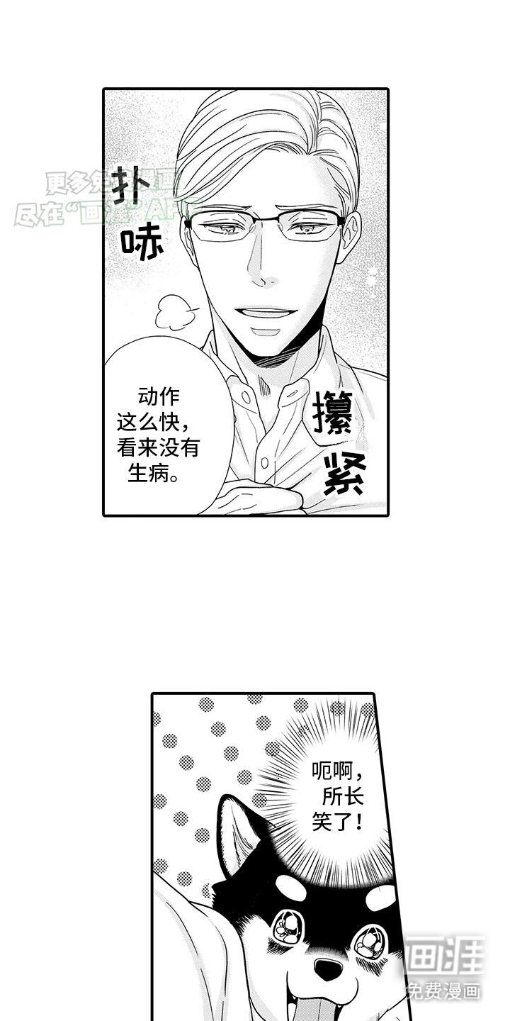 毛茸茸的偏爱第2话图