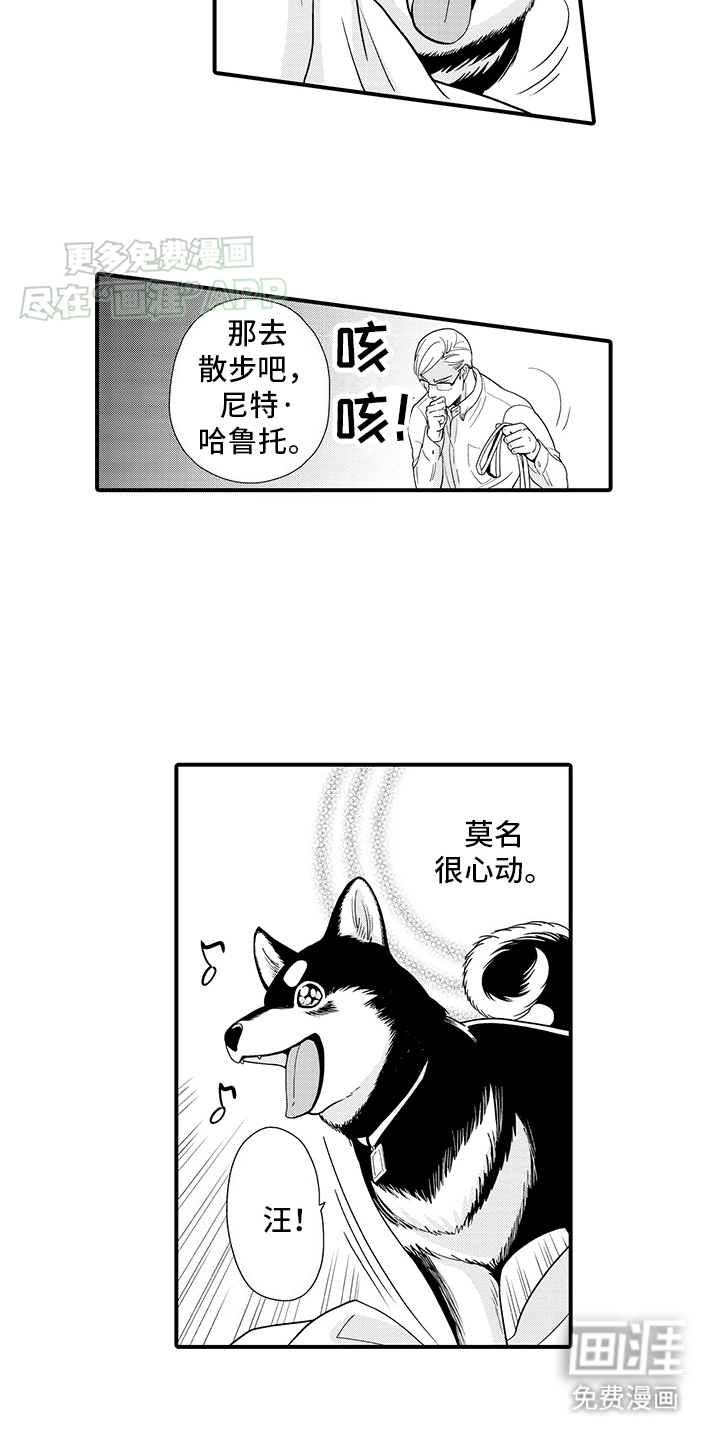 毛茸茸的偏爱第2话图