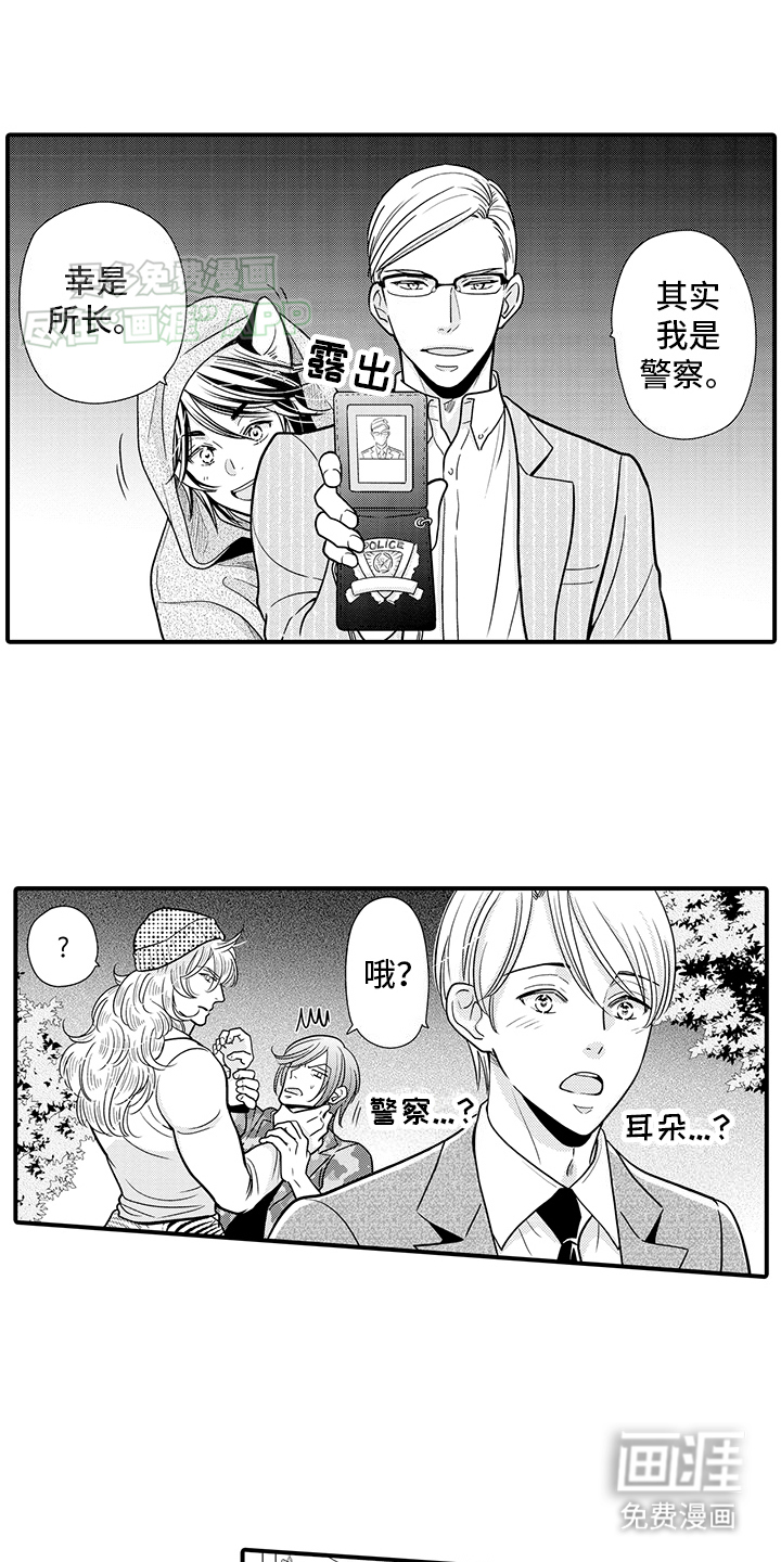 毛茸茸的偏爱第20话图