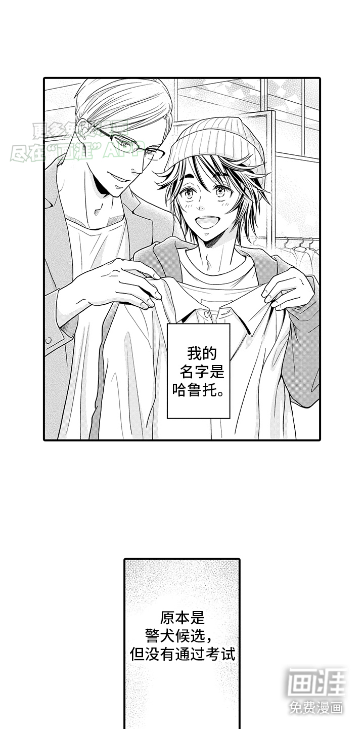 毛茸茸的偏爱第5话图