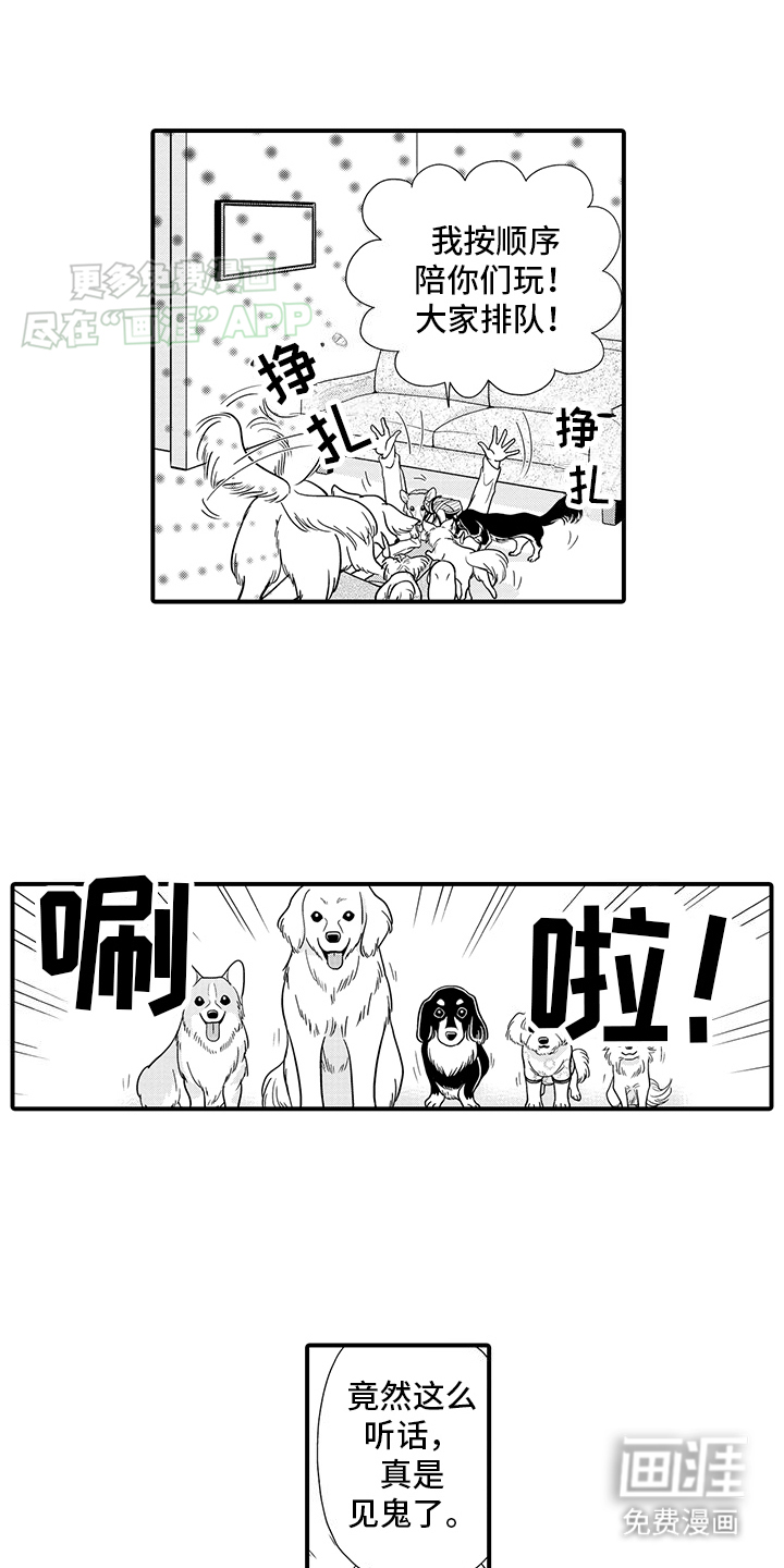 毛茸茸的偏爱第6话图