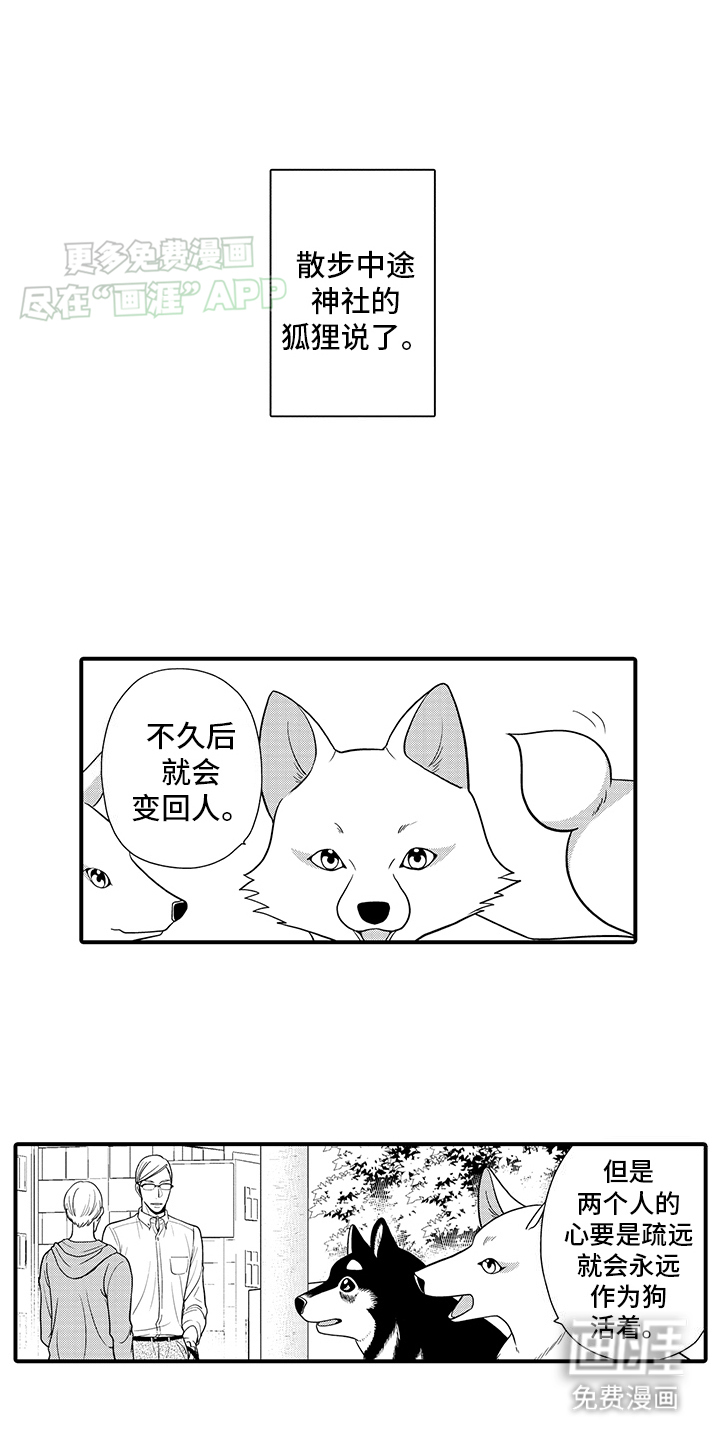 毛茸茸的偏爱第9话图